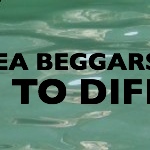 seabeggars