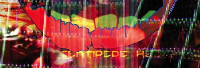 Animal Collective, Centipede Hz album cover, detail.