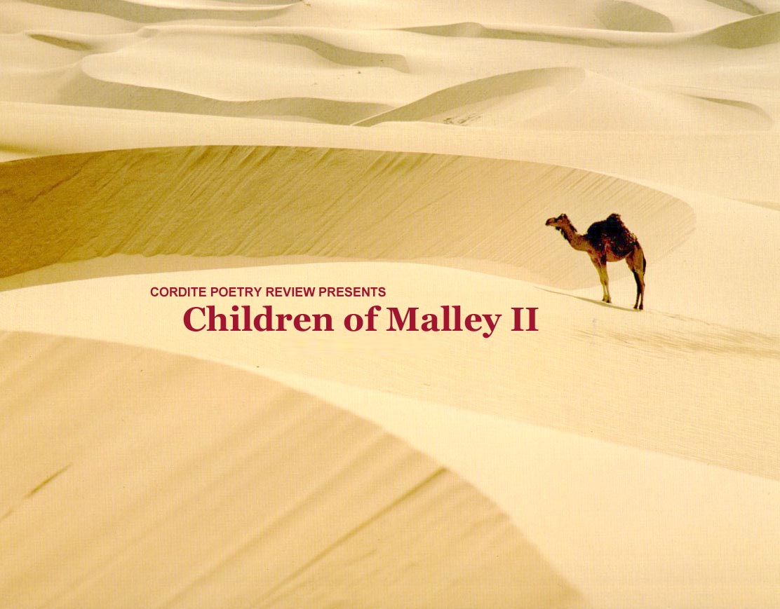 The cover image for Cordite Poetry Review 34: Children of Malley II (2010)