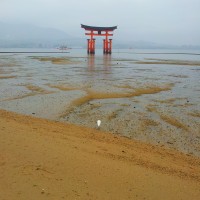 The floating torii of Miyajima