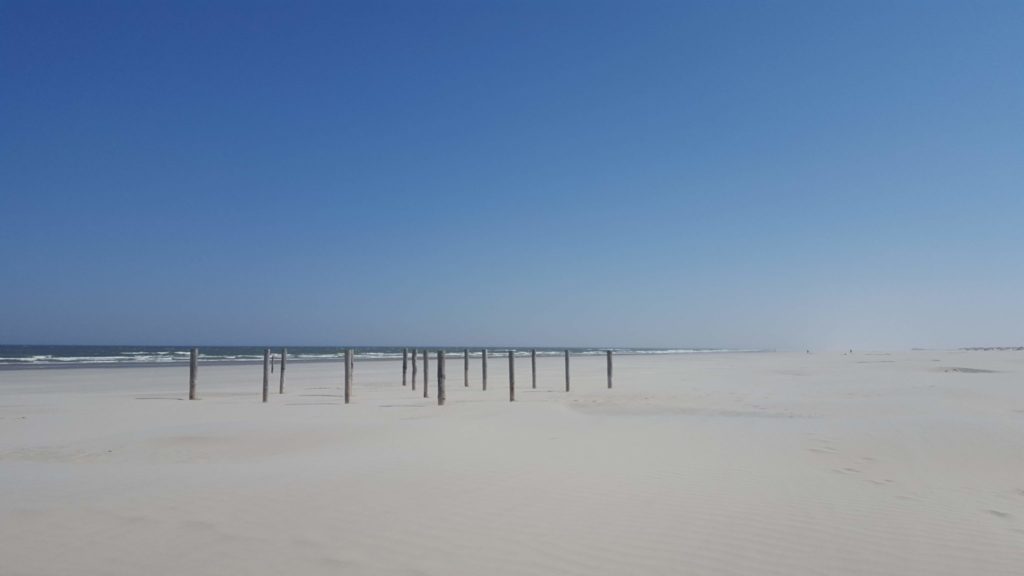 Schiermonnikoog dunes. 