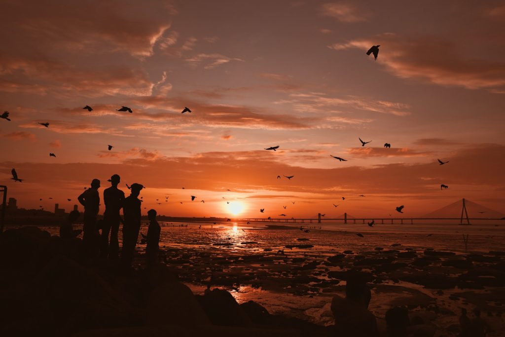 People standing on a shoreline at sunset. No flygskam here. 